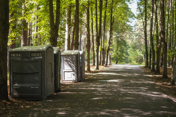 Best Luxury portable toilet rental  in Carlstadt, NJ